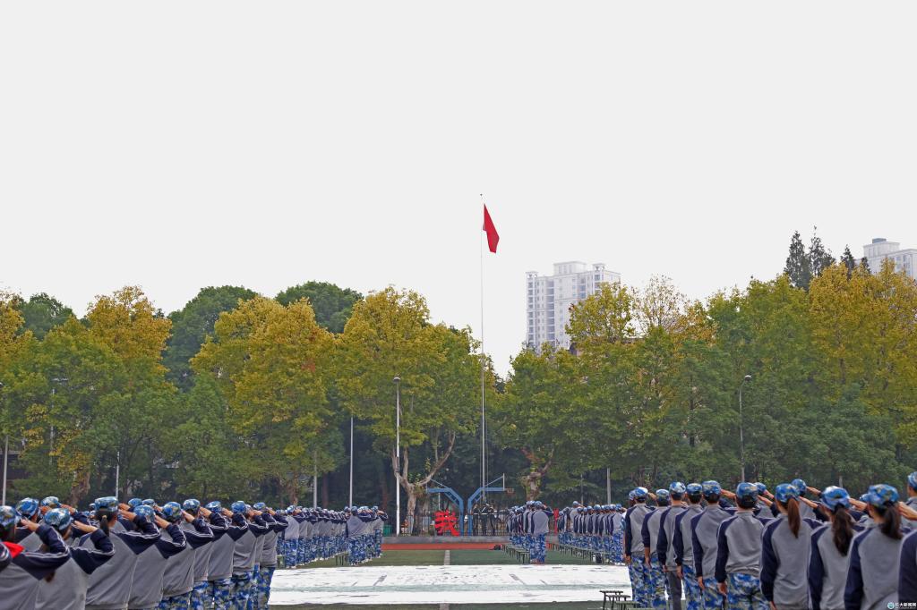 mk体育官网