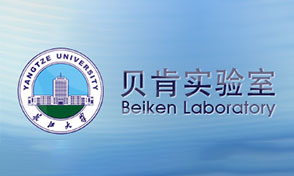 mk体育官网