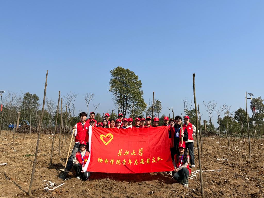mk体育官网